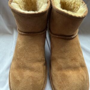 UGG Classic Mini II Chestnut  Boots
